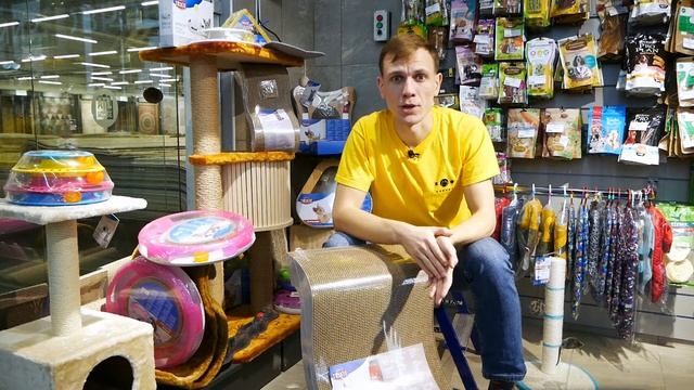 Зачем нужна, как выбрать и как приучить кота к когтеточке? Коротко и по делу! смотреть онлайн