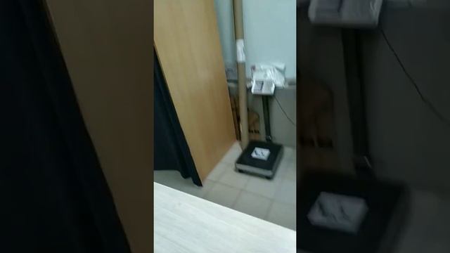Победа над СДЭК смотреть онлайн