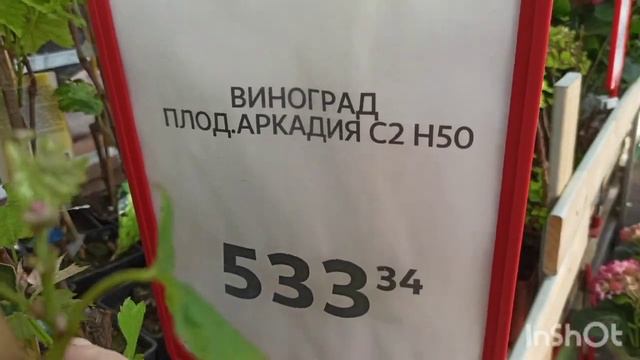 Ашан. Товары для сада и огорода, посадочный материал. смотреть онлайн