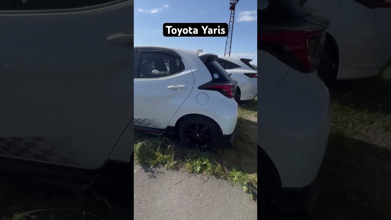 Toyota Yaris. Обзор цен сентябрь 2023 года. Авторынок зеленый угол. Владивосток. смотреть онлайн