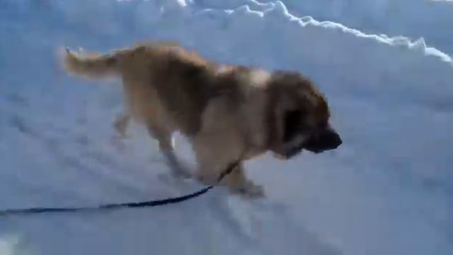 Сёма - 4 года. смотреть онлайн