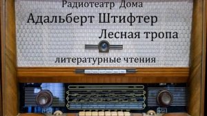Лесная тропа.  Адальберт Штифтер.  Литературные чтения.