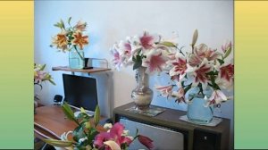 ЛИЛИИ. Как вырастить лилии- гиганты ОТ-ГИБРИДЫ:посадка, уход, срезка цветущих лилий.