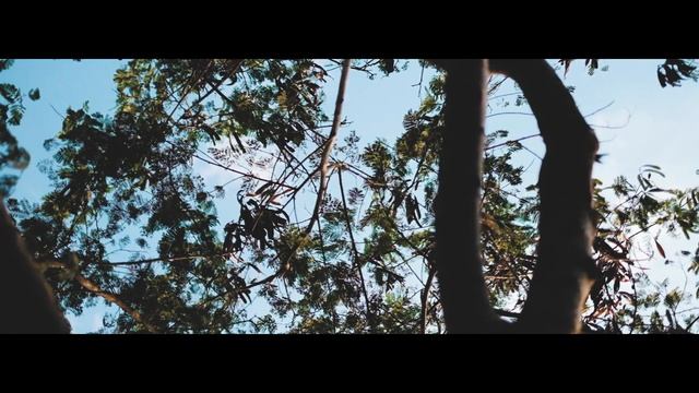 Video Potrait ft. Axel | FUJIFILM XT20 + 35MM F1.4| HANDHELD смотреть онлайн