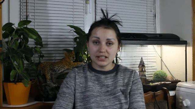 Как ухаживать за улитками смотреть онлайн