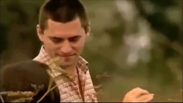 В.ЯКУШЕЧКИН-СИНГАРЕЛЛА монтаж НЕЛИКС МУРАВЧИК_ Hd