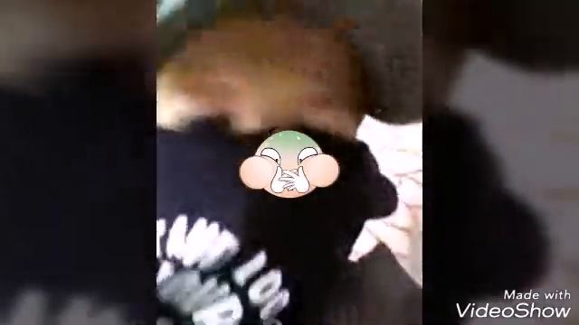 Не умею снимать влоги / Жесть , девочка сломала руку , сказал мат/!!!!" смотреть онлайн