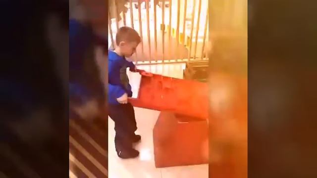 Умный дом смотреть онлайн