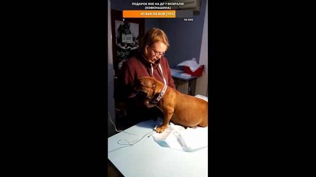 Тестовый стрим с телефона (будет удален) смотреть онлайн