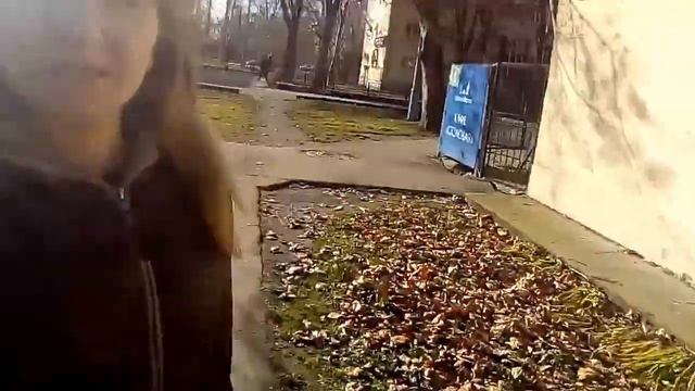 Погода в Краснодаре декабрь 2017 Зима в Краснодаре смотреть онлайн