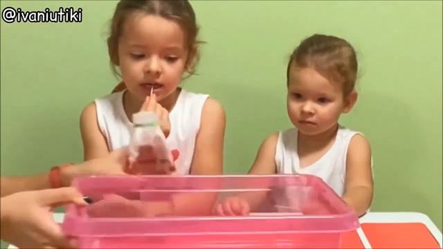 Свойства дерева видео смотреть онлайн
