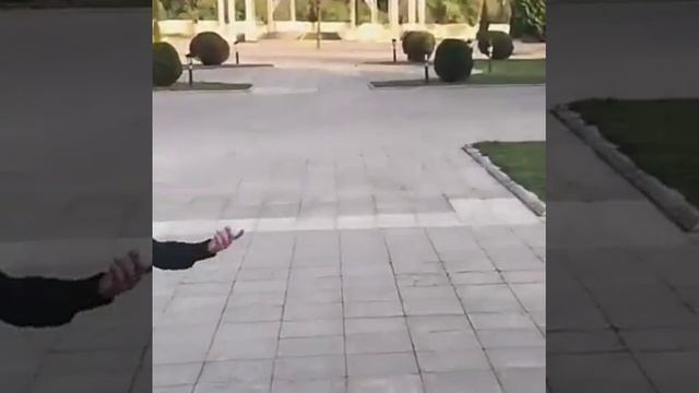 Shakir super reqs смотреть онлайн