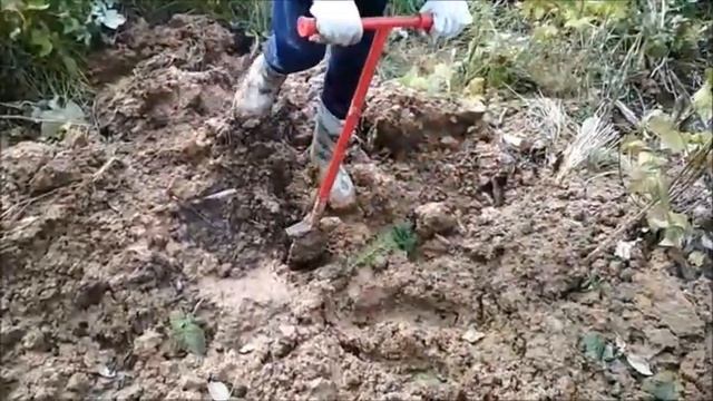 Посадка леса в Радищево, Гринпис смотреть онлайн