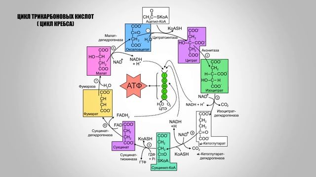 Волшебство Локонов