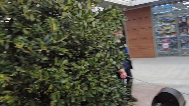 #Анапа НЕУЖЕЛИ СНЕСЛИ ВСЁ ПОДЧИСТУЮ. ЭТО РАЗВЕ ПОХОЖЕ НА ПАРК? ЧЕМ ЗАНЯТЬСЯ НА КОВИКУЛАХ?! смотреть онлайн