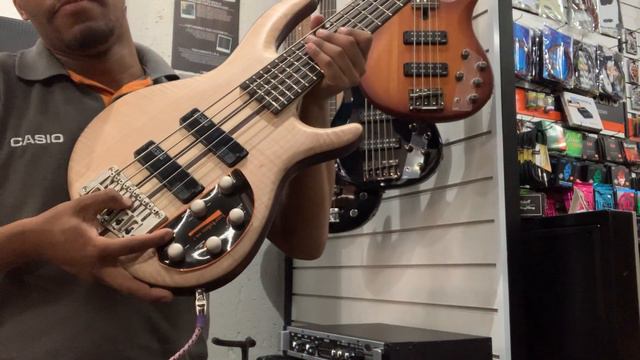 Baixo Cort Artisan A5 Plus FMMH OPN. смотреть онлайн