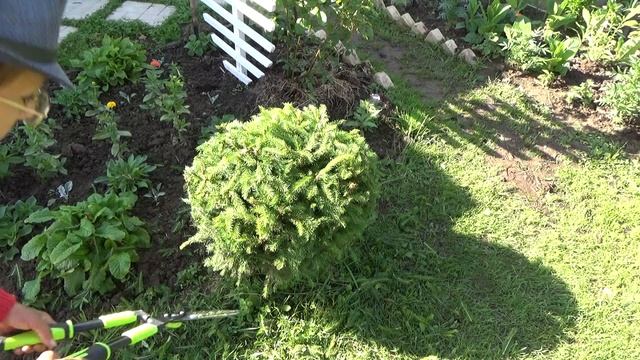 6 соток 26 июня. Пицца на мангале - это реально! смотреть онлайн