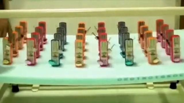 Почему семья основа государства!!! смотреть онлайн