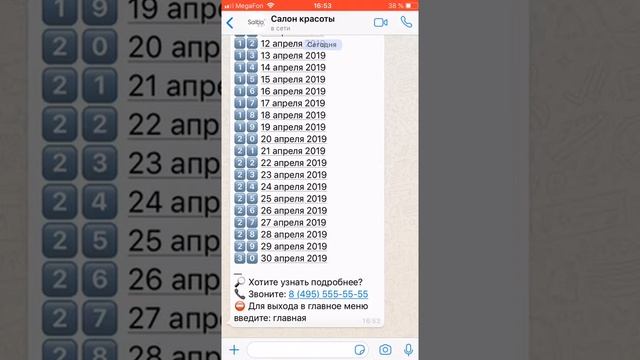 Пример работы чат бота WhatsApp для салона красоты от компании Salbo смотреть онлайн