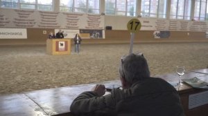 Ежегодный аукцион лошадей орловской рысистой породы в МКЗ №1