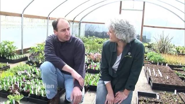 Edelweiss Perennials GardenPalooza смотреть онлайн