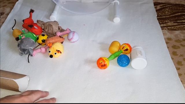 Игрушки для ежика. Какие можно? смотреть онлайн