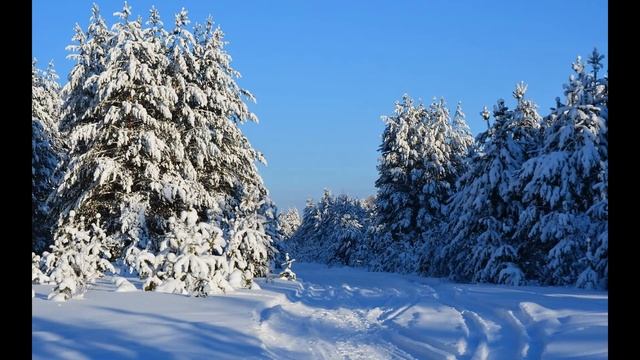 Рассматривание картины 