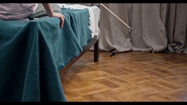 САМЫЕ УМНЫЕ ЖИВОТНЫЕ! Вы будете удивлены.. смотреть онлайн