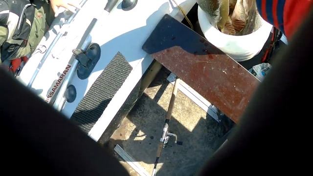 Осенний жор щуки!!! Трофейная рыбалка на Иртыше! смотреть онлайн