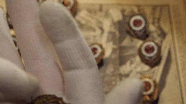 Коллекция отличников смотреть онлайн