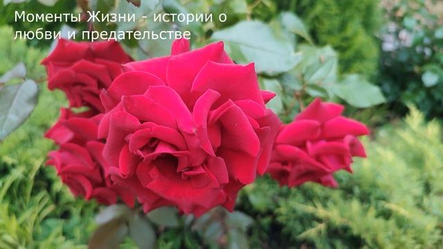 ? Спустя 10 лет жена его бросила, а он так и не понял почему ... Реальная история из жизни смотреть онлайн