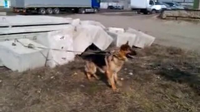 Второе занятие по защите смотреть онлайн