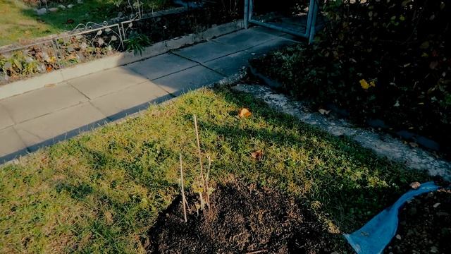 Тестирую топор фискарс. Дача в Германии. смотреть онлайн