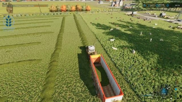 Chilliwack BC Multiplayer - Our Final Grass Harvest - Farming Simulator 22 смотреть онлайн