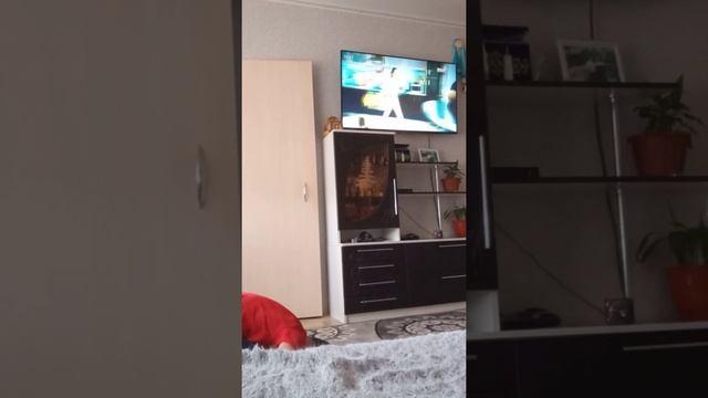 Как делать правильно кувырок вперёд смотреть онлайн