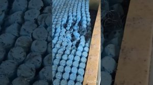 вскрываем матрас Аскона Askona Double Support Hard. матрасу 4 года. состав слоев