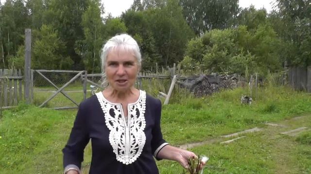 Интервью. Съезд 7524 в Орлово по ВсеЯсветной Грамоте. смотреть онлайн