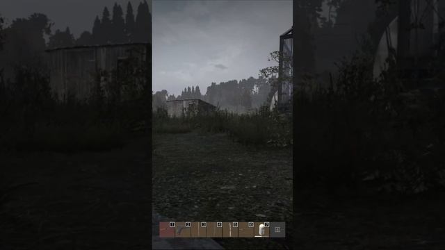 Замес в старом DayZ PODPIVAS #NaiZ #DayZ #PVP #podpivas смотреть онлайн