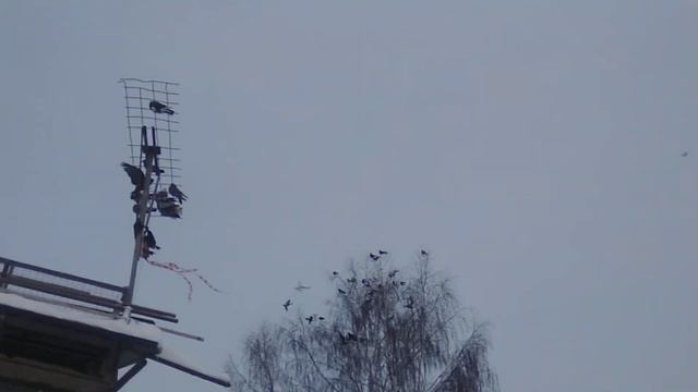21,12,2201 о како ечисло смотреть онлайн