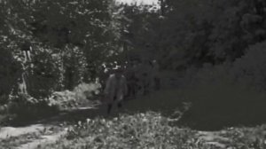 Крепостное право в России - мифы и факты. История крепостного права на Руси