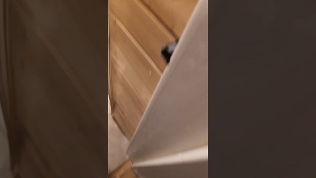 Кластер Гнездо Ресторан Туалет плитки сами делают из глины.(2) смотреть онлайн