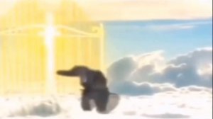 обезьяна стучится в дверь