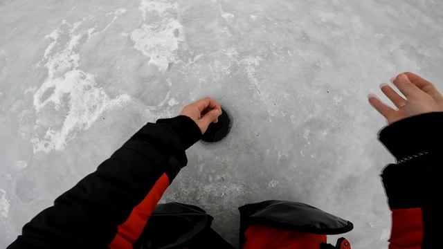 ОТЛИЧНЫЙ КЛЕВ ЩУКИ на ЖЕРЛИЦЫ! БОРЬБА, ВЫВАЖИВАНИЕ! ЛОВЛЯ КРУПНОГО ПОДЛЕЩИКА на МОРМЫШКУ! смотреть онлайн