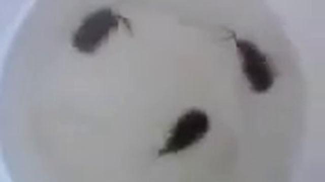 Щитни 22 07 12 20 09 смотреть онлайн