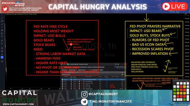 CPI PREP! MARKET ANALYSIS AND TRADE IDEAS (FOREX, STOCKS, COMMODITIES) смотреть онлайн