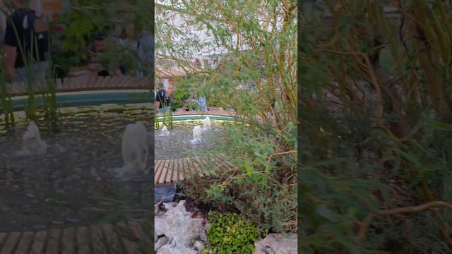 золотые рыбки в открытом аквариуме на площади революции в москве смотреть онлайн