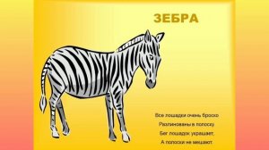 "Животные жарких стран"