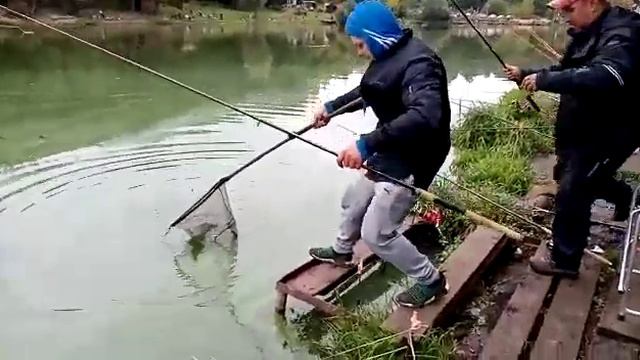 Осётр смотреть онлайн