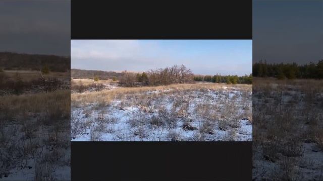 Охота с гончими на зайца-русака смотреть онлайн