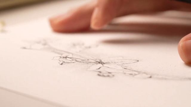 DRAW WITH ME | Recreating Leonardo da Vinci's lost drawings смотреть онлайн